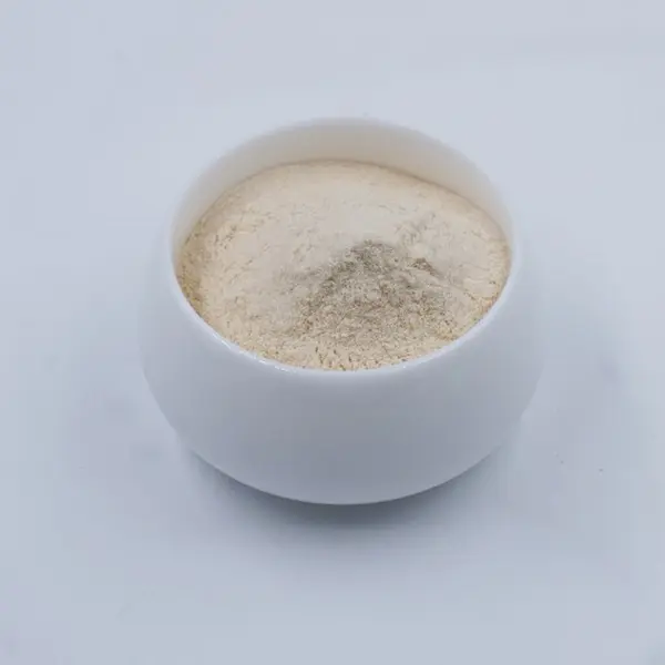 Freeze Dried Mango Powder