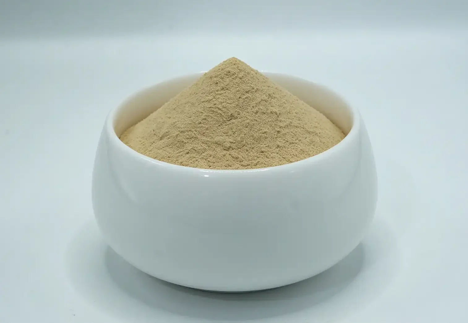 Papaya Powder