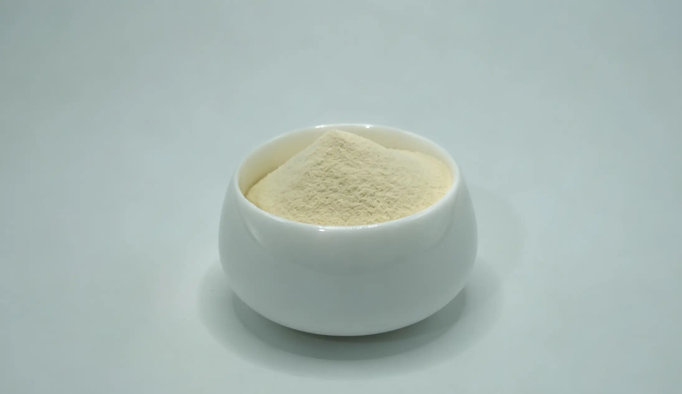 Jackfruit Powder